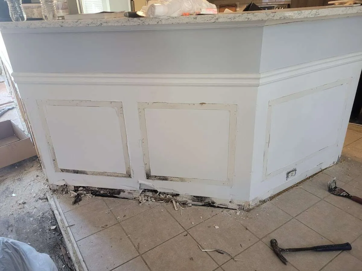 Water damage and mold on kitchen during Mold Inspection & Testing in South Amboy